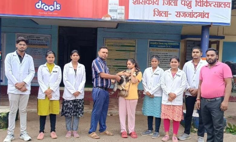 राजनांदगांव : विश्व रेबीज दिवस पर पालतू जानवरों को टीका लगवाने की अपील