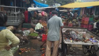 Rajnandgaon: मौसमी बिमारी डेंगू मलेरिया के रोकथाम हेतु आमजन को डोर टू डोर समझाईस एवं घर घर क्लोरिन टेबलेट का वितरण