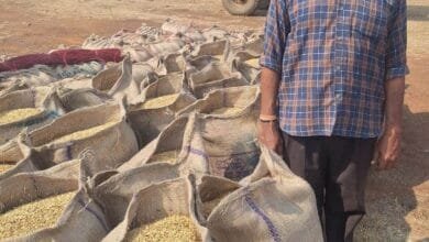 राजनांदगांव : खरीफ विपणन वर्ष 2025-26, किसान शंकरलाल को समर्थन मूल्य और कृषक उन्नति योजना से मिला आर्थिक संबल