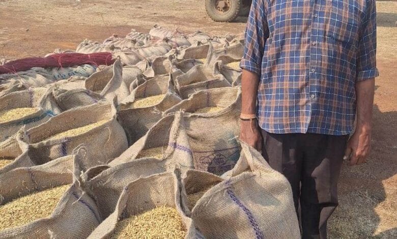 राजनांदगांव : खरीफ विपणन वर्ष 2025-26, किसान शंकरलाल को समर्थन मूल्य और कृषक उन्नति योजना से मिला आर्थिक संबल