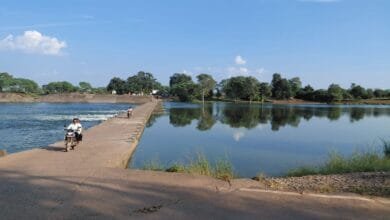 राजनांदगांव : जंगलेसर मोखला एनीकट का हुआ गुणवत्तायुक्त मरम्मत कार्य