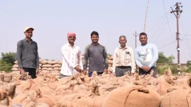 राजनांदगांव : जिले में धान की खरीदी उत्सव के लिए किसानों में उत्साह एवं खुशी