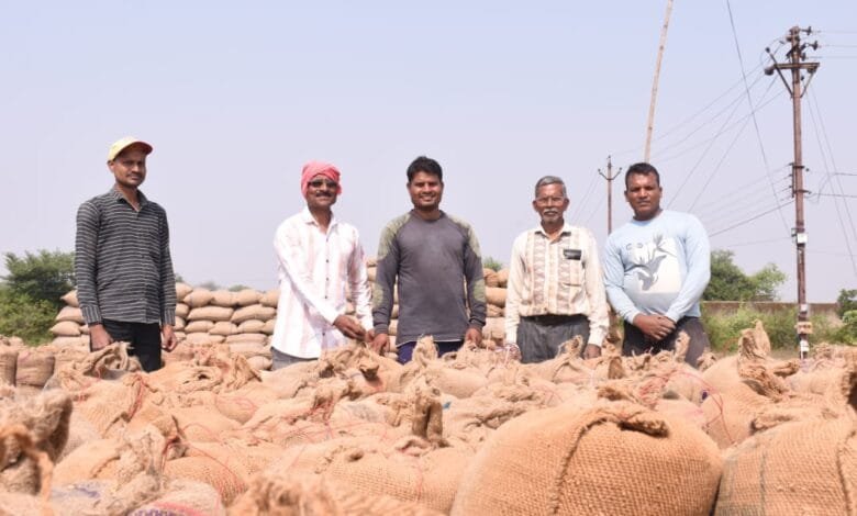 राजनांदगांव : जिले में धान की खरीदी उत्सव के लिए किसानों में उत्साह एवं खुशी