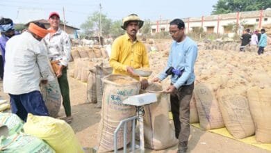 राजनांदगांव : जिले में धान की खरीदी उत्सव के लिए किसानों में उत्साह एवं खुशी