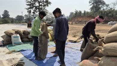 मोहला : समर्थन मूल्य पर धान खरीदी सुचारू रूप से जारी, जिले में अब तक 5090 क्विंटल धान की हुई खरीदी