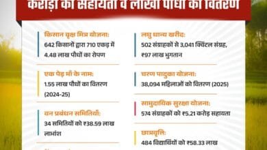 मोहला : हरियाली से खुशहाली, आर्थिक रूप से सशक्त हुए जिले के ग्रामीण