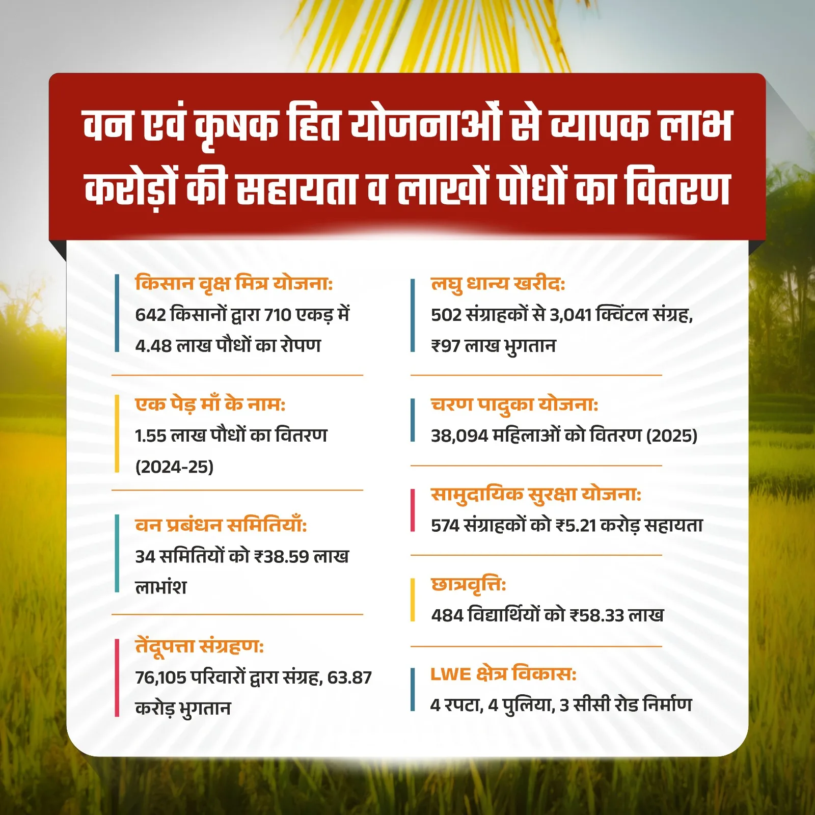 मोहला : हरियाली से खुशहाली, आर्थिक रूप से सशक्त हुए जिले के ग्रामीण