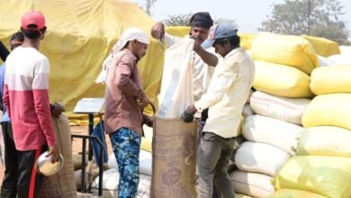 राजनांदगांव : जिले में धान की खरीदी महाभियान से किसानों में हर्ष व्याप्त