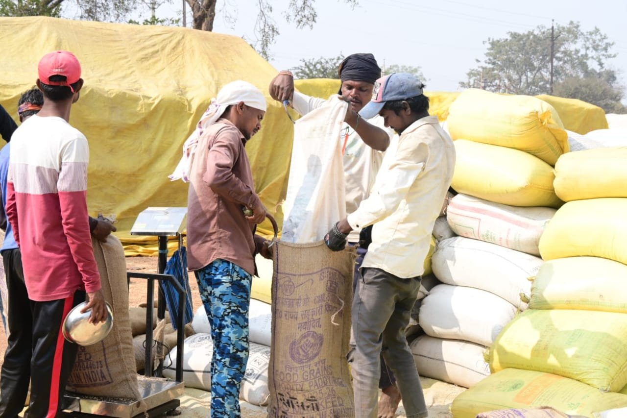 राजनांदगांव : जिले में धान की खरीदी महाभियान से किसानों में हर्ष व्याप्त