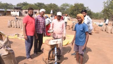 राजनांदगांव : जिले में धान की खरीदी अभियान से किसानों में हर्ष व्याप्त