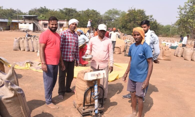  राजनांदगांव : जिले में धान की खरीदी अभियान से किसानों में हर्ष व्याप्त