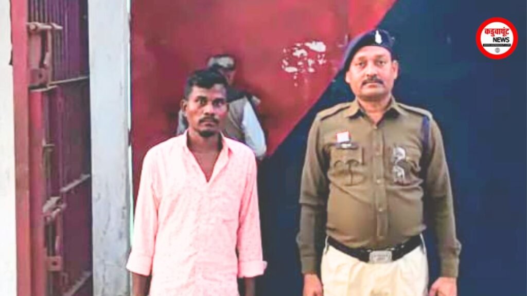 राजनांदगांव: बदमाशों के ​​खिलाफ पुलिस की कार्रवाई, ​एक आरोपी गिरफ्तार, एसडीएम न्यायालय में पेश