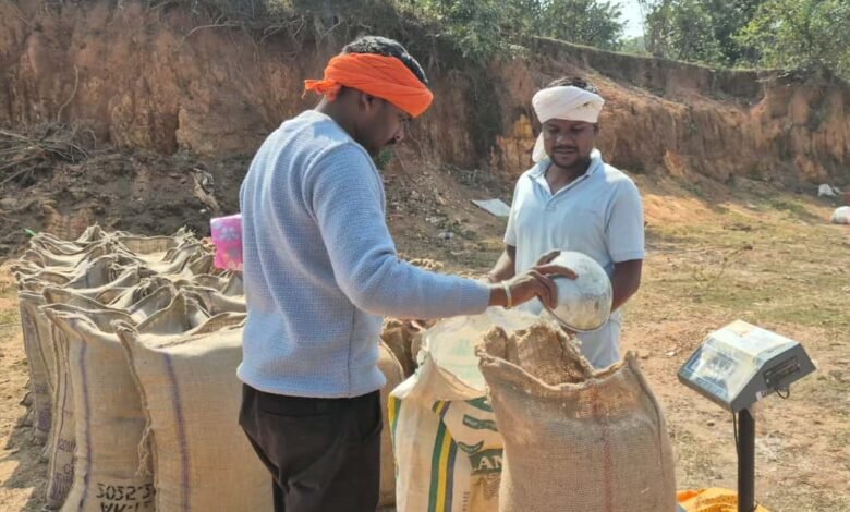 मोहला : जिले में धान खरीदी सुचारू रूप से जारी, 27 उपार्जन केन्द्र के माध्यम से 4 लाख क्विंटल से अधिक धान खरीदी