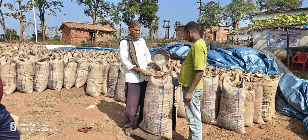 मोहला : जिले 27 उपार्जन केन्द्रों में 6 लाख क्विंटल से अधिक धान खरीदी, 20 हजार 500 क्विंटल धान का हुआ उठाव