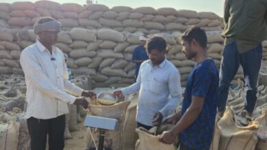 मोहला : जिले के चल रहा सुव्यवस्थित धान खरीदी