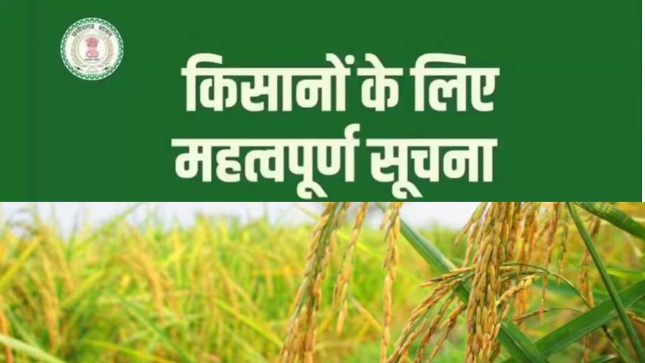 Rajnandgaon: एकीकृत किसान पोर्टल में 15 जनवरी तक कैरी फारवर्ड, वन अधिकार पट्टाधारी कृषकों का नवीन पंजीयन