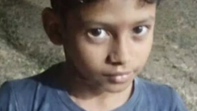 CG : जहरीले सांप के काटने से 9 वर्षीय मासूम की मौत…