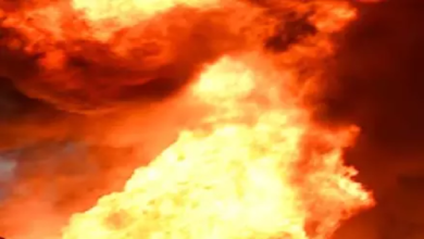 राजनांदगांव : बूढ़ादेव पहाड़ी में लगी आग पर वन विभाग ने पाया काबू…