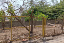 राजनांदगांव : शहर के उद्यानों के भीतर पॉलीथिन का कचरा फैला, झूले भी टूट चुके…