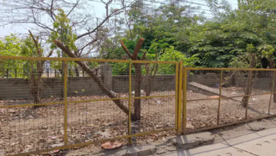 राजनांदगांव : शहर के उद्यानों के भीतर पॉलीथिन का कचरा फैला, झूले भी टूट चुके…