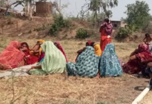 CG : मछली के चक्कर में युवक ने जिंदगी खोया …