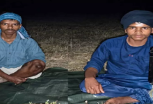 CG : कांकेर में 2 और नक्सलियों का सरेंडर ...