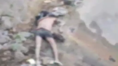 CG : नहर में लाश मिली, शिनाख्त करने में जुटी पुलिस …