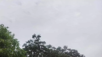 CG : रायपुर में मौसम परिवर्तन, छाई बदली, हल्की बारिश के आसार …