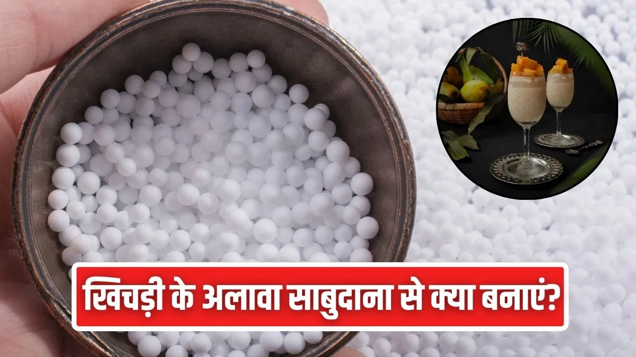 Chaitra Navratri Special Snacks