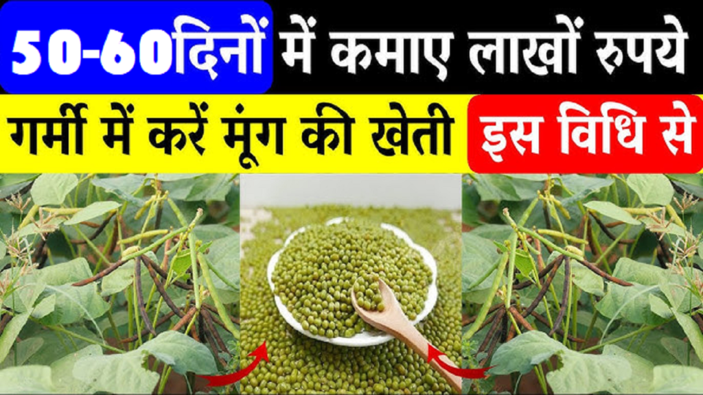Moong Cultivation