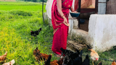 CG : एकीकृत कृषि और आजीविका के लिए 'दीदी के बखरी' से आ रही नई क्रांति कांकेर जिले की पहल