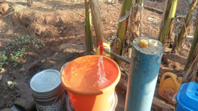 CG : महाराष्ट्र सीमा से लगे नेलांगुर में हर घर पहुंचा नल जल, दूर हुई पेयजल समस्या