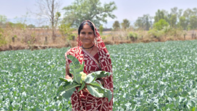 CG : साय सरकार की पहल से सशक्त हुई महिलाएं : हमेश्वरी राठौर बनीं “लखपति दीदी”