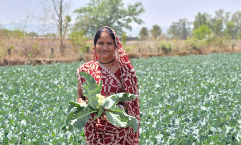 CG : साय सरकार की पहल से सशक्त हुई महिलाएं : हमेश्वरी राठौर बनीं “लखपति दीदी”