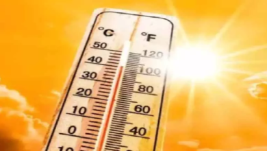 CG : गर्मी को लेकर येलो अलर्ट जारी, स्वास्थ्य मंत्री ने ली बैठक…