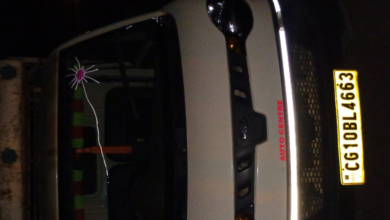 CG : लकड़ी के अवैध परिवहन पर कार्रवाई, पिकअप वाहन जब्त