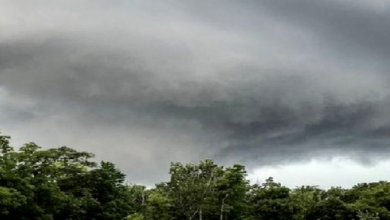 CG : छत्तीसगढ़ में आज आंधी-तूफान का अलर्ट…