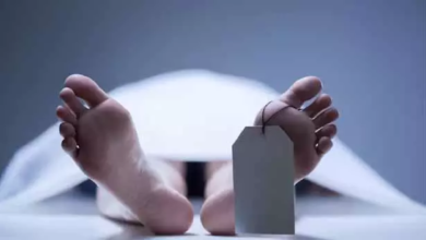 CG : ड्राइवर को रायपुर-बिलासपुर हाईवे में मार डाला …