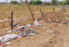 राजनांदगांव : आउटर इलाकों की सड़कों में पसरी गंदगी, सफाई नहीं होने से बदबू फैली…