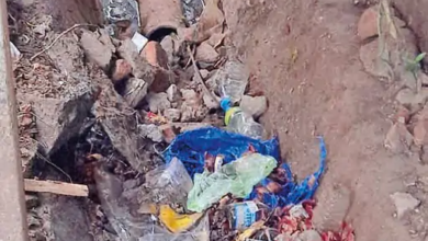 राजनांदगांव : नालियों की नियमित सफाई नहीं हो पा रही…