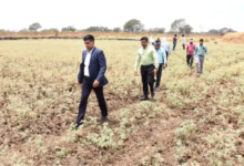 राजनांदगांव : कलेक्टर ने कन्हारपुरी में सीमांकन कार्य का लिया जायजा…