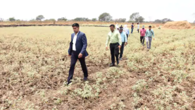 राजनांदगांव : कलेक्टर ने कन्हारपुरी में सीमांकन कार्य का लिया जायजा…