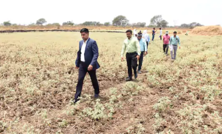 राजनांदगांव : कलेक्टर ने कन्हारपुरी में सीमांकन कार्य का लिया जायजा…