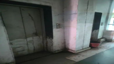 CG : राज्यपाल डेका ने खैरागढ़ विश्वविद्यालय की नई बस को दिखाई हरी झंडी