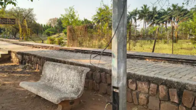 राजनांदगांव : पुष्पवाटिका में बिजली पोल के तार खुले पड़े हुए…