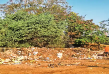 राजनांदगांव : हॉस्पिटल रोड में सड़क किनारे डंप हो रहा कचरा, फैली गंदगी, लोग परेशान…