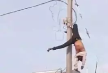 CG : बिजली सुधारते वक्त लाइनमैन की मौत, करंट से झुलसा…