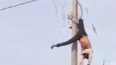 CG : बिजली सुधारते वक्त लाइनमैन की मौत, करंट से झुलसा…