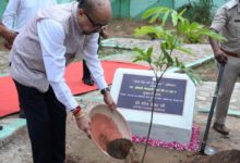 CG : राज्यपाल रमेन डेका ने जशपुर के मातृत्व वन में किया सीता अशोक के पौधे का रोपण