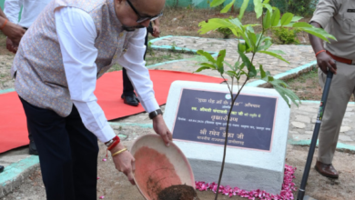 CG : राज्यपाल रमेन डेका ने जशपुर के मातृत्व वन में किया सीता अशोक के पौधे का रोपण